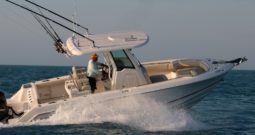Boston Whaler 250 Outrage